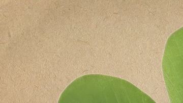 La suerte estará siguiendo a algunos signos del zodiaco durante la temporada de Aries.