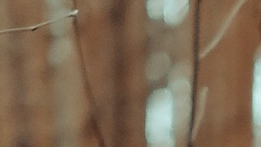 : Las brujas en los sueños pueden representar cosas positivas.