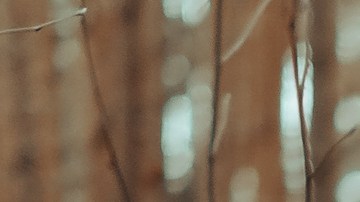 : Las brujas en los sueños pueden representar cosas positivas.