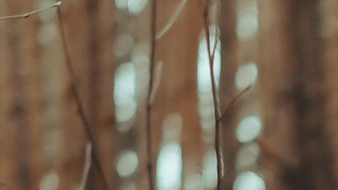 : Las brujas en los sueños pueden representar cosas positivas.