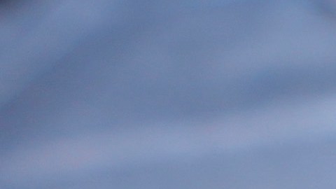 Magistrada determinó que la revocación masiva de la libertad condicional migratoria violó la ley federal.