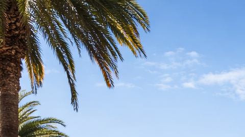 Edificio moderno de apartamentos en California con palmeras y skyline urbano al fondo