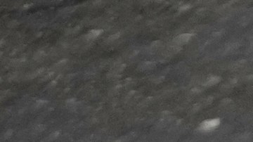 man holds a picture of U.S. President Donald Trump upside down after Friday prayers at the Imam Khomeini Grand Mosque in Tehran, Iran, Friday, March 20, 2026. (AP Photo/Vahid Salemi)