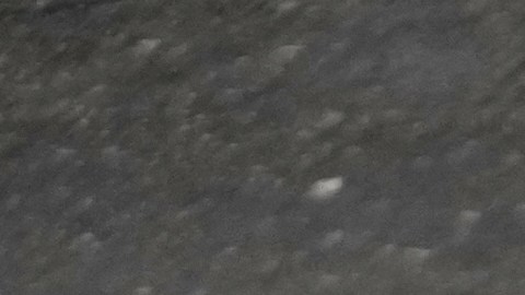 man holds a picture of U.S. President Donald Trump upside down after Friday prayers at the Imam Khomeini Grand Mosque in Tehran, Iran, Friday, March 20, 2026. (AP Photo/Vahid Salemi)