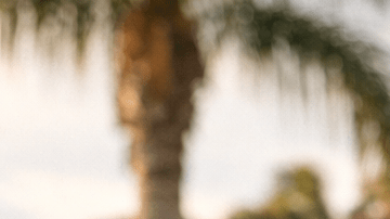 Hombre revisa carta sospechosa en buzón en Florida por posible estafa de multas de tránsito falsas