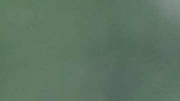 Tu signo del zodiaco chino tiene el secreto para calmar tu estrés.