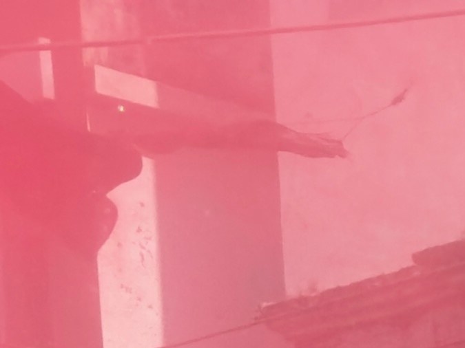 Devotos hindúes lanzan polvos de colores y bailan durante la celebración del "Holi", el festival de los colores, en Loknath Prayagraj, India, el miércoles 4 de marzo de 2026.