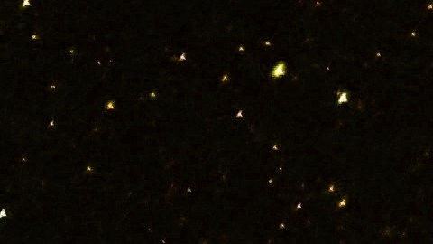 Diversos tránsitos planetarios dan forma al horóscopo mensual.