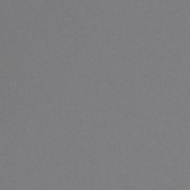 Expertos señalan que su liberación podría marcar un precedente relevante en la defensa de los derechos de periodistas inmigrantes.