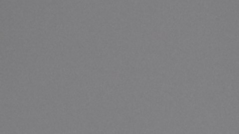 Expertos señalan que su liberación podría marcar un precedente relevante en la defensa de los derechos de periodistas inmigrantes.