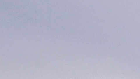 Uno de cada 12 trabajadores en la economía estadounidense es mexicano.