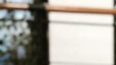 El horóscopo de Mhoni Vidente.