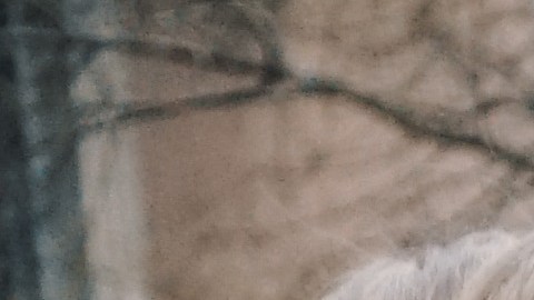 Cuando se trata de sofisticación, un signo destaca por encima del resto.