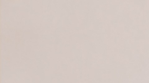 Las plantas pueden actuar como amuletos protectores del hogar.