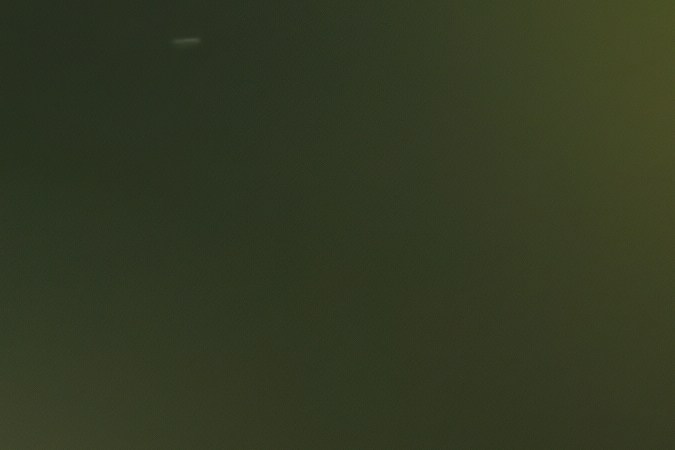 El polen de primavera es una causa principal de la rinitis alérgica estacional y asma, afectando a las personas cuando las plantas polinizan.