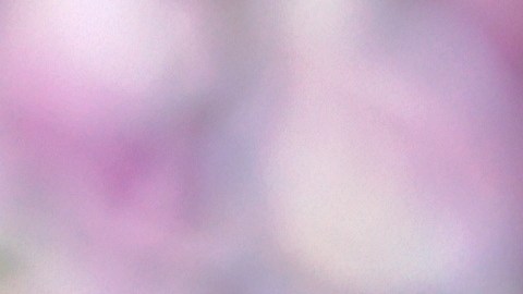 La primavera marca el inicio de un capítulo para algunos signos, según el horóscopo de marzo.