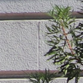 Se cree que la aprobación de la propuesta del gobierno federal provocaría desalojos masivos