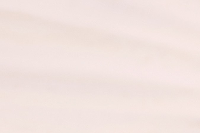 usos del número de sguro social