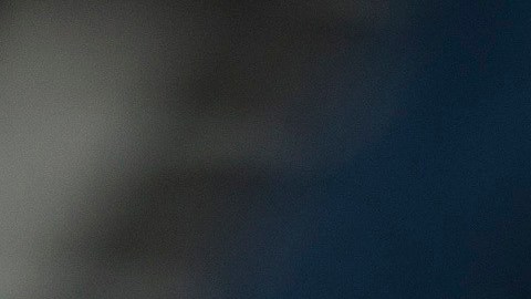 Debido al accidente murieron tres ciudadanos estadounidenses y un residente permanente.