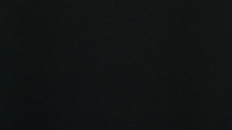 Hasta el momento, no se ha determinado públicamente el motivo del crimen ni la causa exacta de la muerte de la víctima.