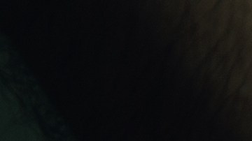 El sospechoso, identificado como Richard Chesher, de 67 años, fue detenido por agentes del Departamento de Policía de Mount Washington