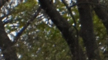 Un hombre de 37 años presuntamente asesinó a sus suegros y a su esposa separada antes de suicidarse en una vivienda de Nueva Jersey.