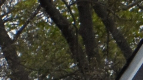 Un hombre de 37 años presuntamente asesinó a sus suegros y a su esposa separada antes de suicidarse en una vivienda de Nueva Jersey.