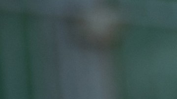 El sospechoso, identificado como Easton Goode, enfrenta dos cargos de asesinato