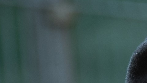 El sospechoso, identificado como Easton Goode, enfrenta dos cargos de asesinato