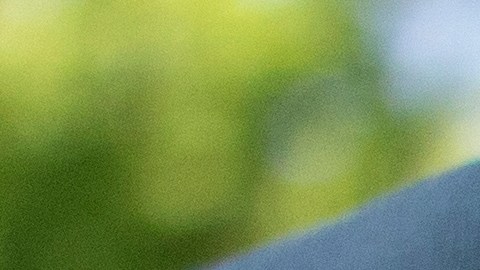 El niño fue trasladado de urgencia al Wood County Hospital, donde los médicos diagnosticaron una fractura grave en el hueso del muslo.