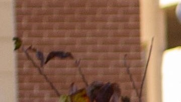 Un tiroteo registrado en un edificio académico de una universidad en Virginia dejó a dos personas gravemente heridas y al presunto atacante muerto.
