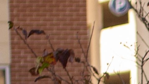 Un tiroteo registrado en un edificio académico de una universidad en Virginia dejó a dos personas gravemente heridas y al presunto atacante muerto.