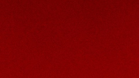 Un perro también falleció en el ataque. Las autoridades descartan vínculos con terrorismo y mantienen la investigación en curso.