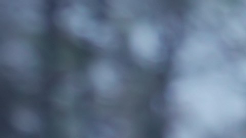 La sospechosa, identificada como Ashley Otero Averett, enfrenta un cargo de asesinato premeditado en primer grado