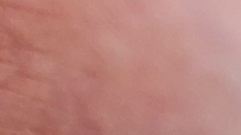 El menor, identificado como Havoc Leone, será procesado como adulto por la muerte de Theresa McIntosh, de 41 años