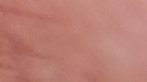 Actualmente permanece recluida sin derecho a fianza en la cárcel del condado de Escambia.