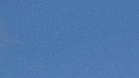 Las autoridades aún no han confirmado cuántas personas viajaban a bordo del avión al momento del accidente.