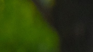 La exfuncionaria, identificada como Brandi Tenlen, contaba con 21 años de servicio