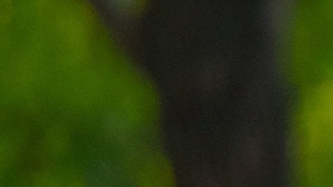 La exfuncionaria, identificada como Brandi Tenlen, contaba con 21 años de servicio