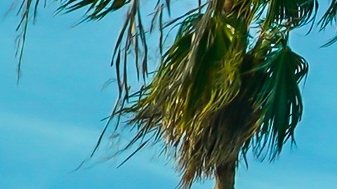 Un agente de policía resultó herido durante una persecución armada el domingo, mientras el sospechoso permanece en estado crítico.