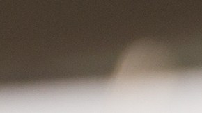 las autoridades no han precisado públicamente las circunstancias ni han confirmado de forma oficial quién los privó de la vida.