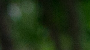 Las imágenes captadas por los usuarios de Pokémon Go permitirán que los robots de delivery se ubiquen sin necesidad de GPS