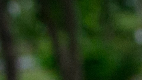 Las imágenes captadas por los usuarios de Pokémon Go permitirán que los robots de delivery se ubiquen sin necesidad de GPS
