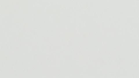 Los signos compatibles no siempre se llevan bien.