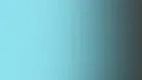 El sospechoso fue identificado como Ndiaga Diagne, ciudadano estadounidense naturalizado de 53 años nacido en Senegal