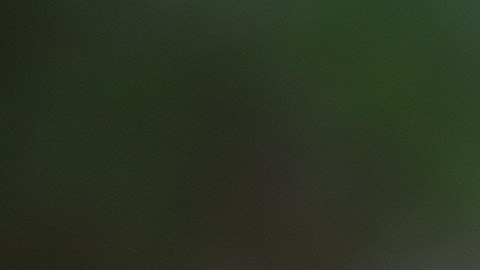 Una tarjeta de crédito extraviada es un riesgo para su propietario si cae en manos equivocadas, así que encontrarla y recogerla ya es un acto heroico de tu parte.