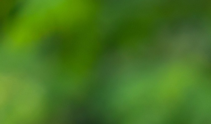 accidente por conducción distraída