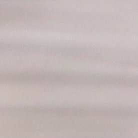 El estado también exige otros documentos para completar el trámite, como contar con el seguro de responsabilidad civil.