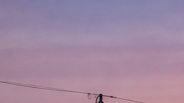 Tren de alta velocidad de California circulando a gran velocidad sobre un viaducto elevado al atardecer