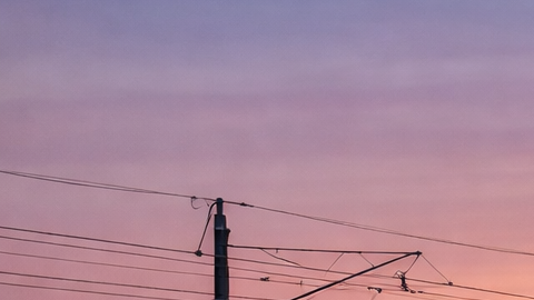 Tren de alta velocidad de California circulando a gran velocidad sobre un viaducto elevado al atardecer